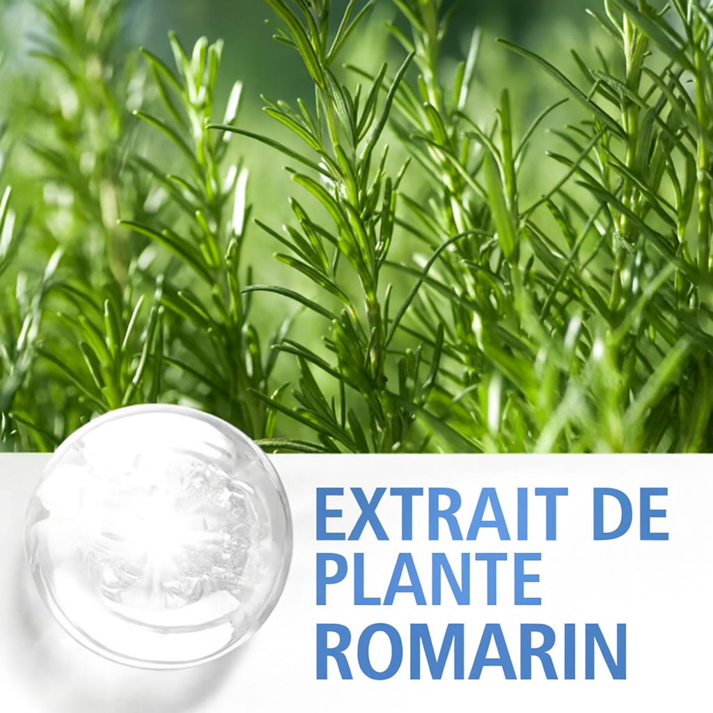 Huile essentielle de romarin pour soins capillaires, massage du cuir chevelu et  de la peau